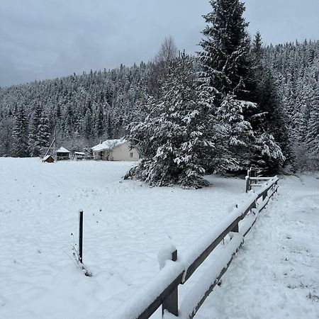 Villa Bambetli Tatariv Esterno foto